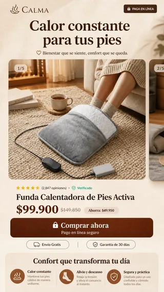 Página Fluxi seleccionada HM21