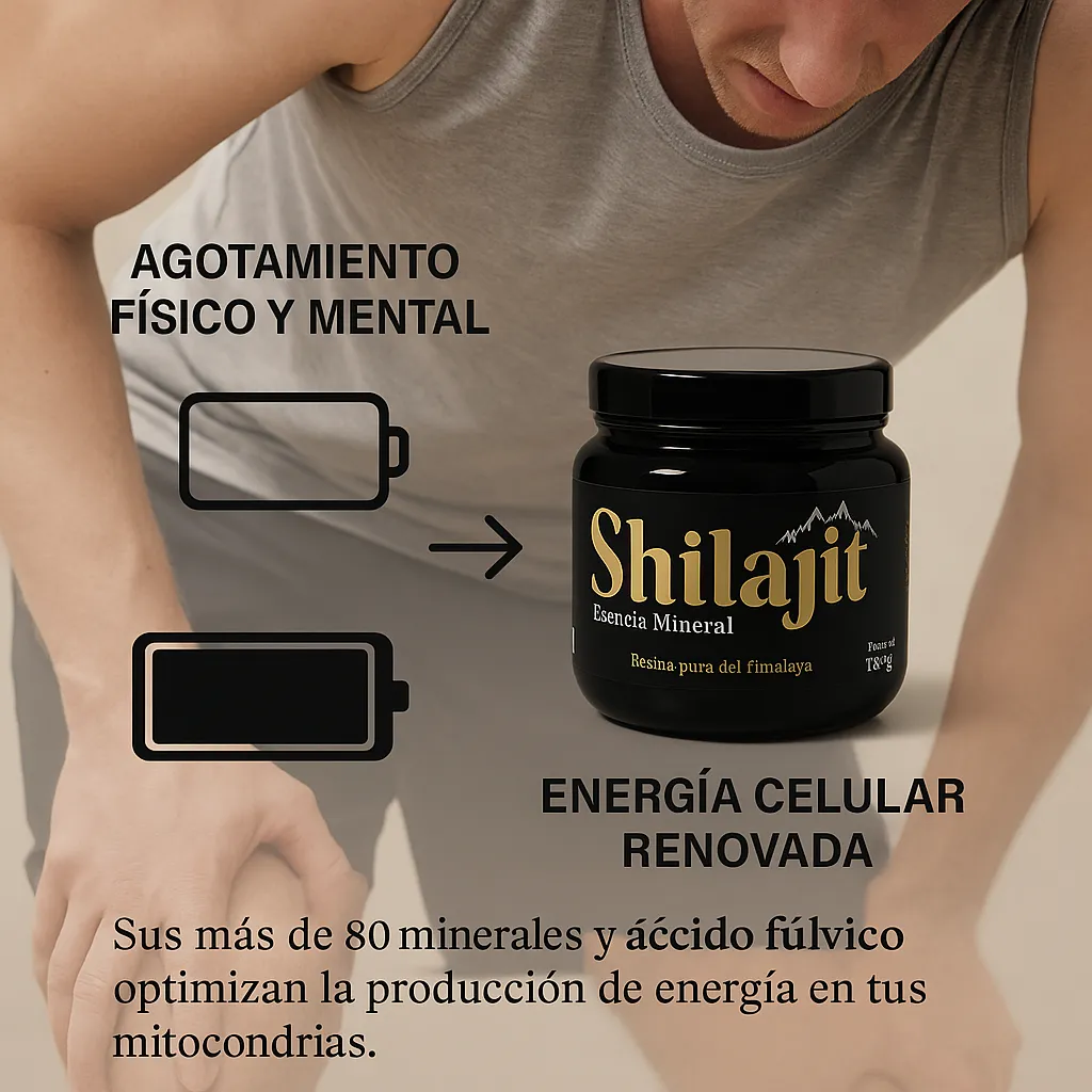 Shilajit Original INVIMA