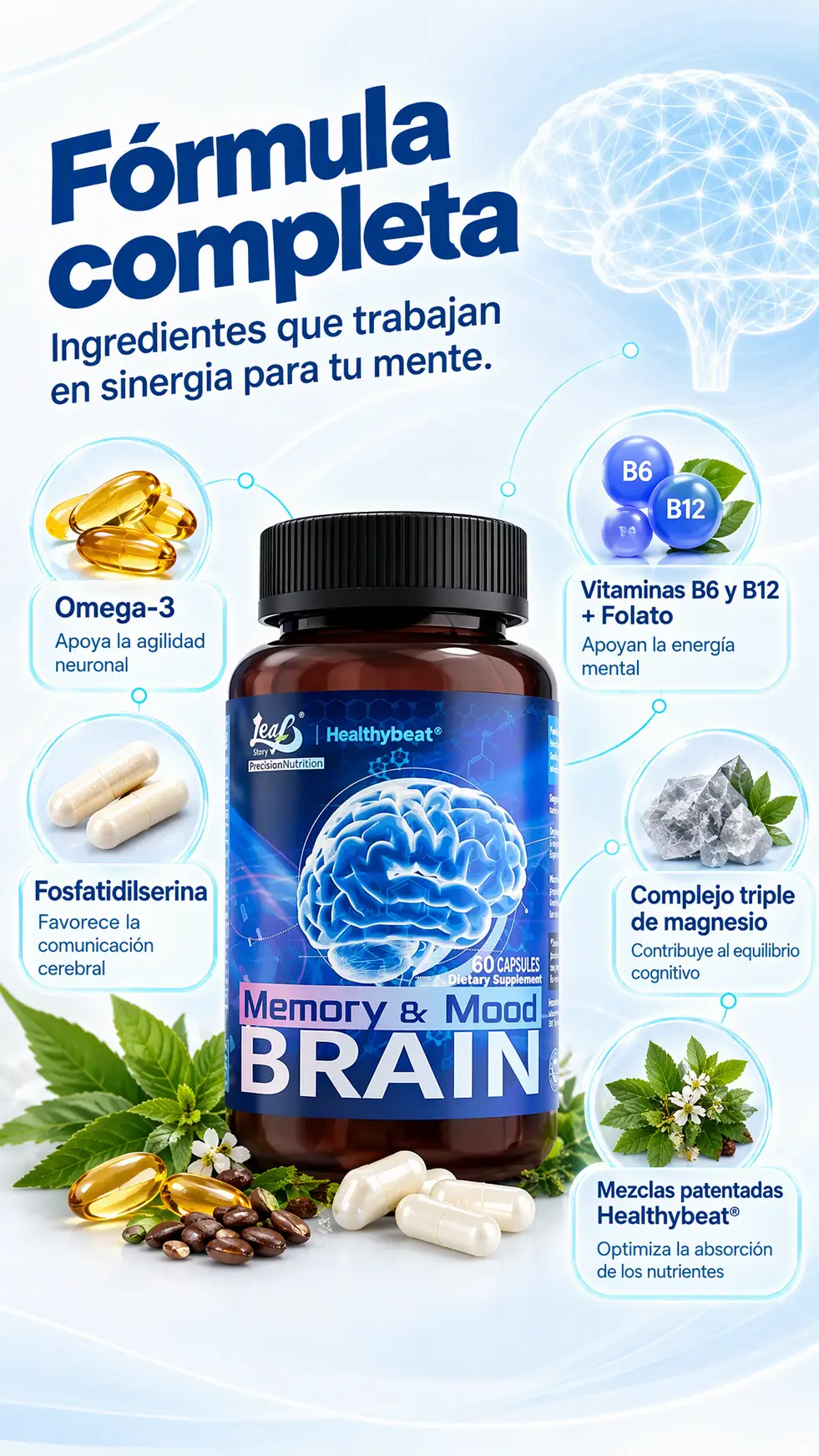 Sección visual de hecho de para Bienki brain