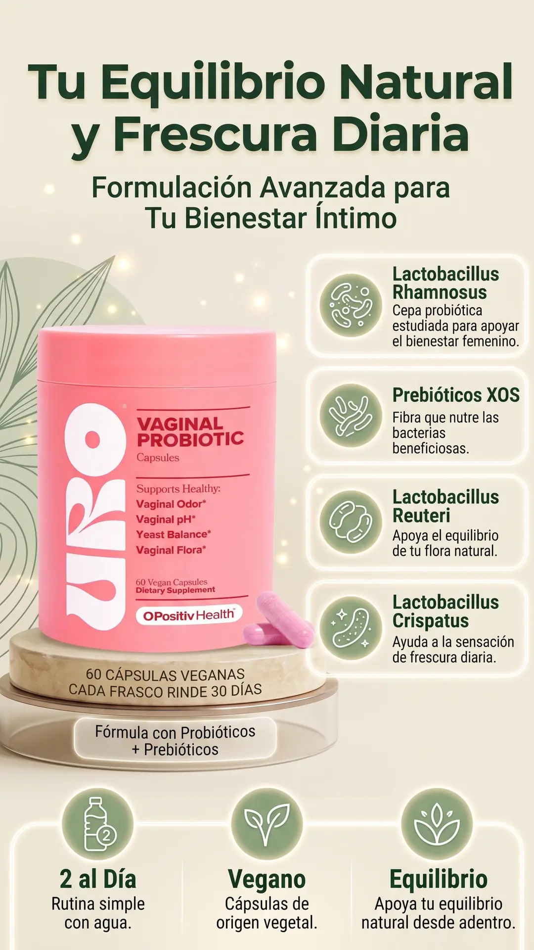 Sección visual de hecho de para Bienki bienestar