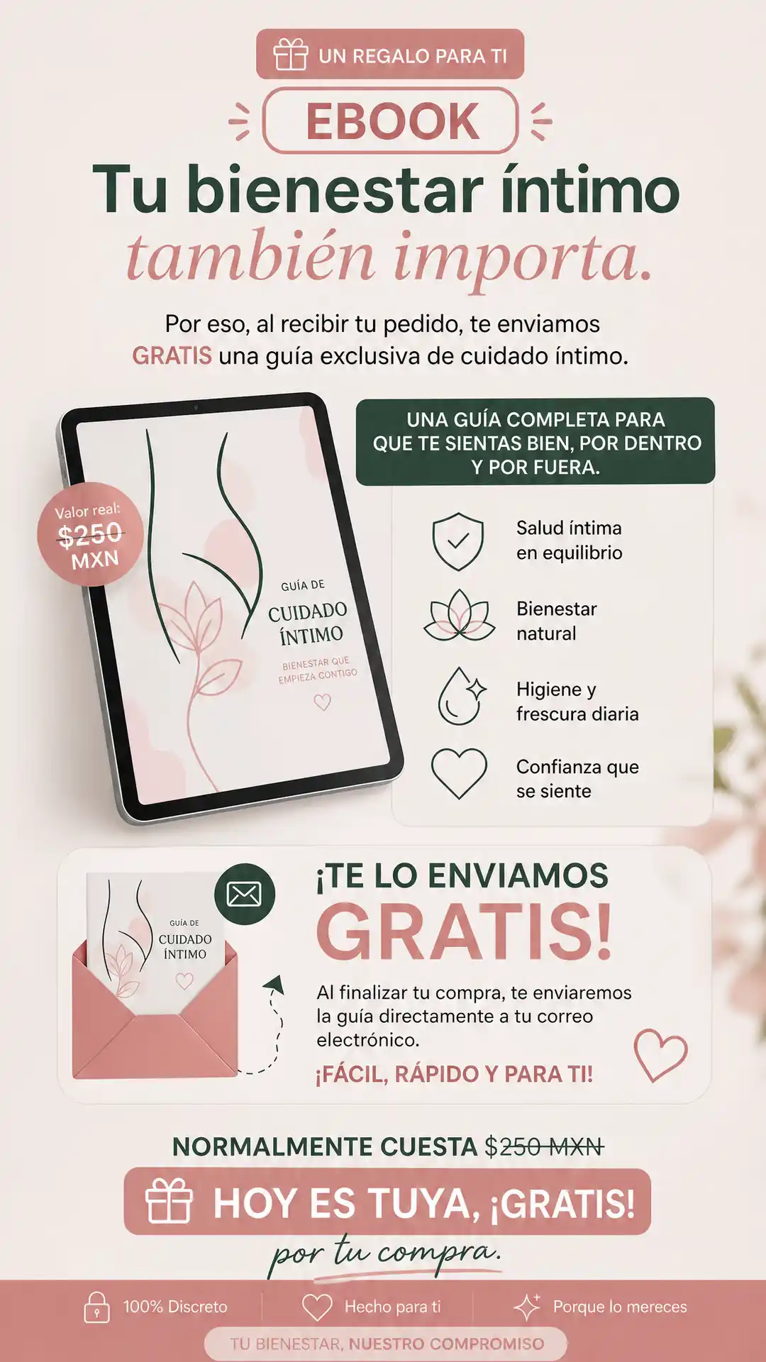 Sección visual de ebook para Bienki bienestar
