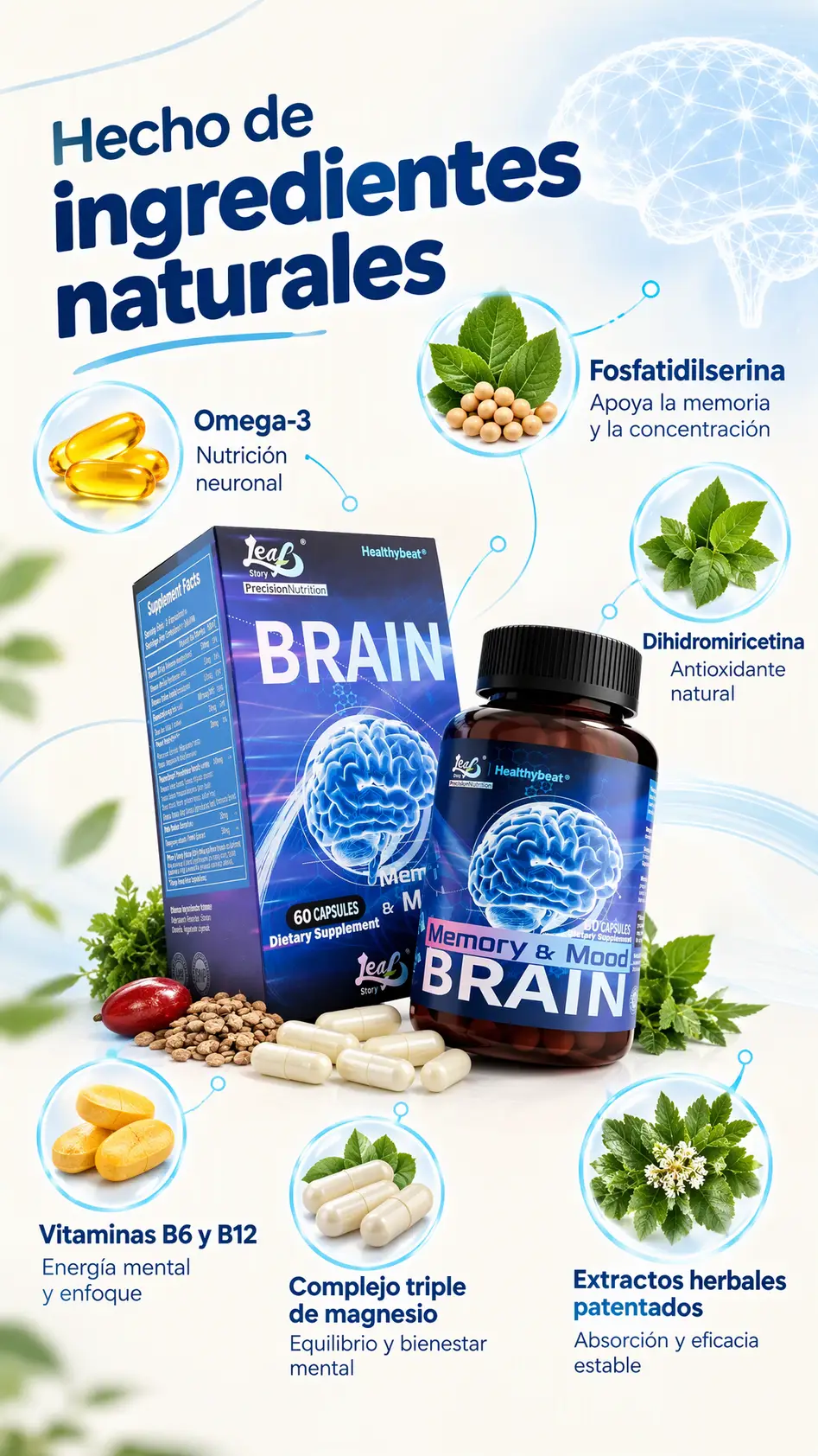 Sección visual de hecho de para Bienki brain