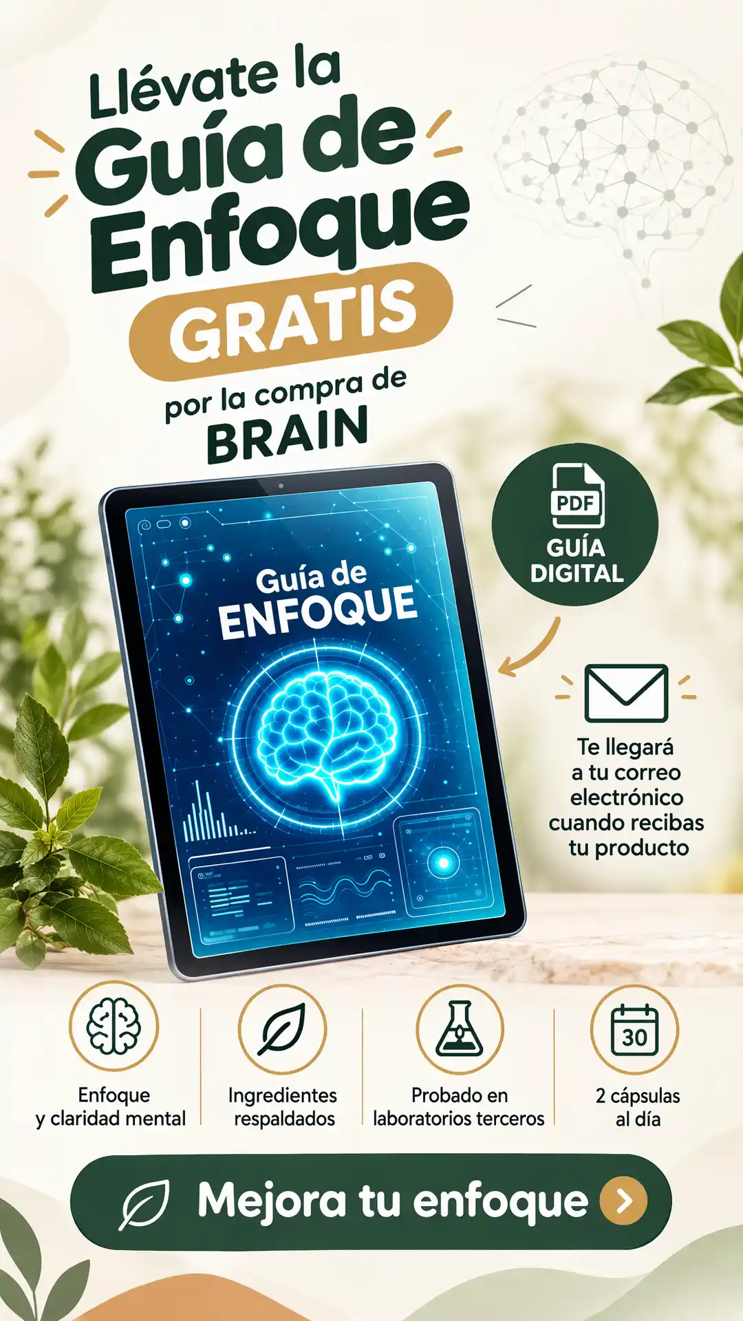 Sección visual de ebook para Bienki brain